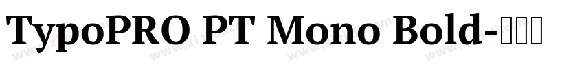 TypoPRO PT Mono Bold字体转换